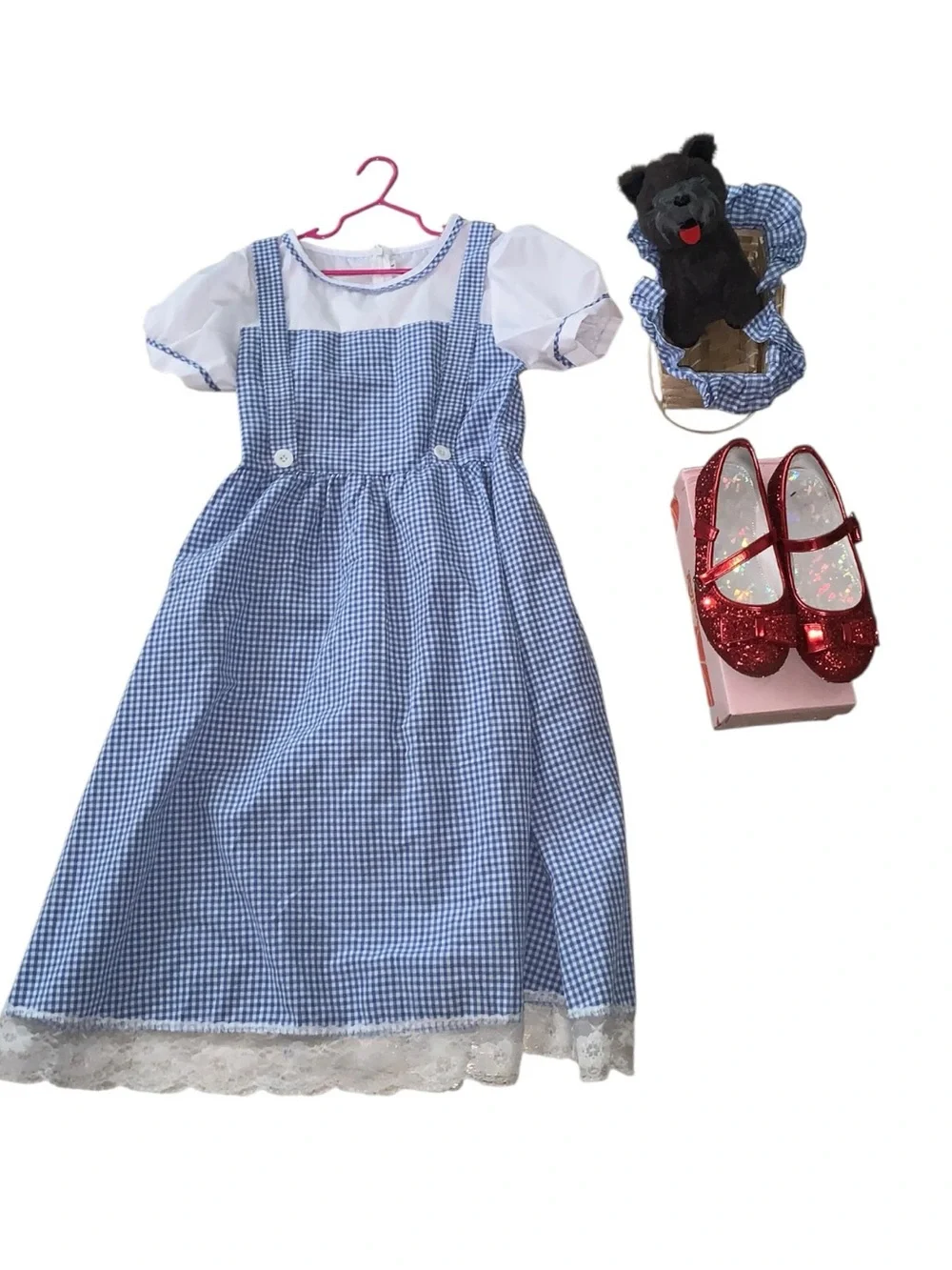 Girls Blue Gingham Dorothy Costume Dress with Red Shoes Basket Dog Plush